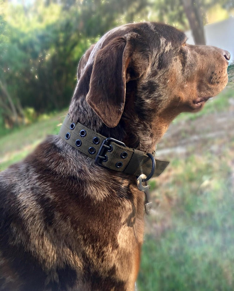 Durable Tactical Dog Collar
