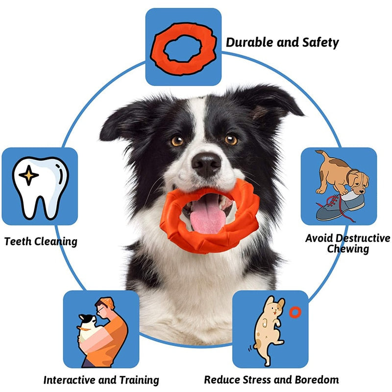 Durable Interactive Dog Toy