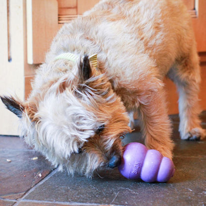 Senior Dog Chew Toy