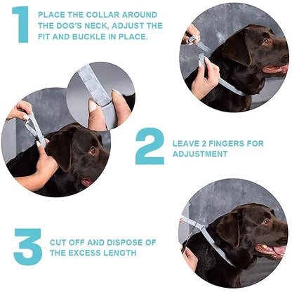 Effective Calming Collar For Dogs