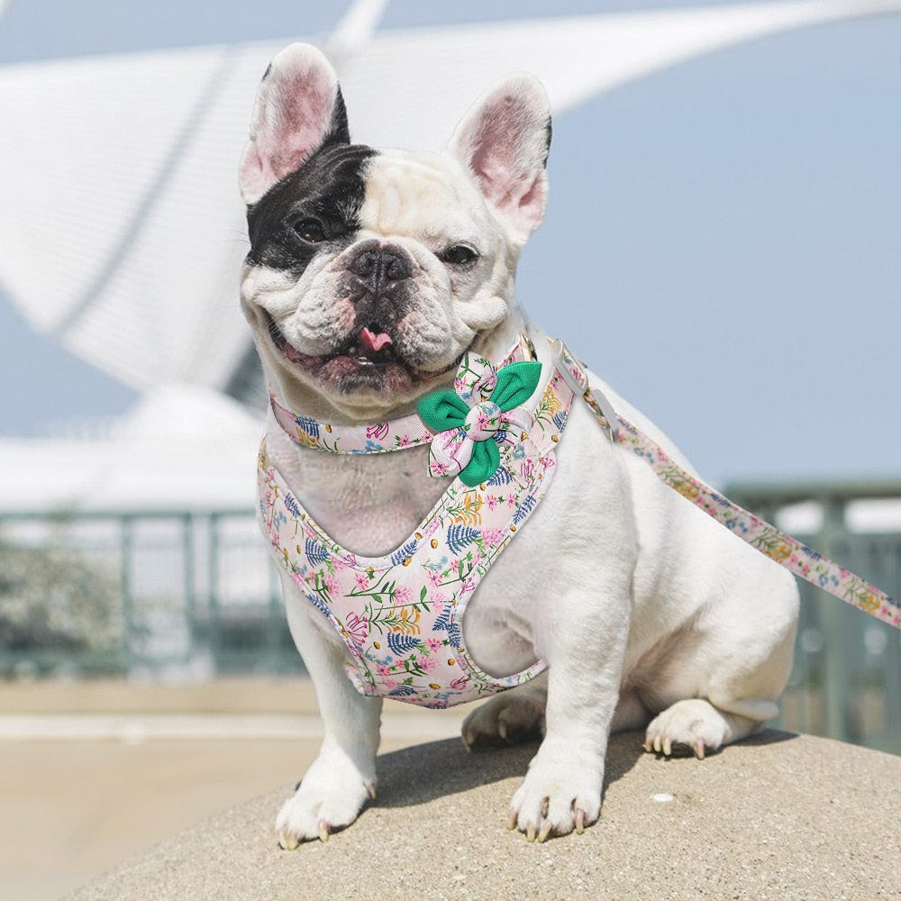 French Bulldog Harness Leash And Collar Set