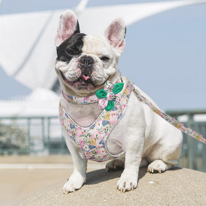 French Bulldog Harness Leash And Collar Set