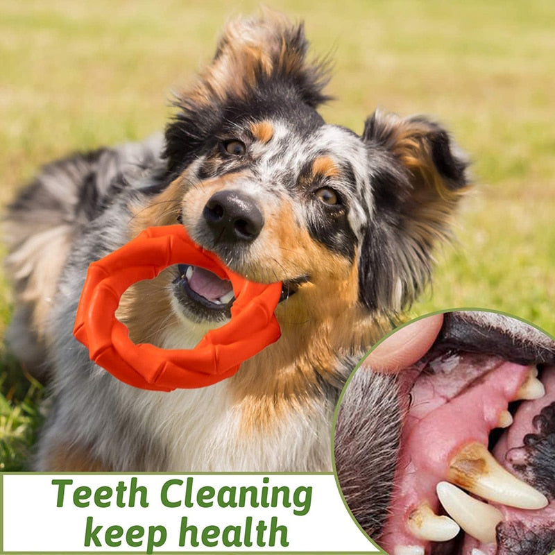 Durable Interactive Dog Toy