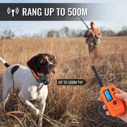 500M Waterproof LCD Dog Training Collar