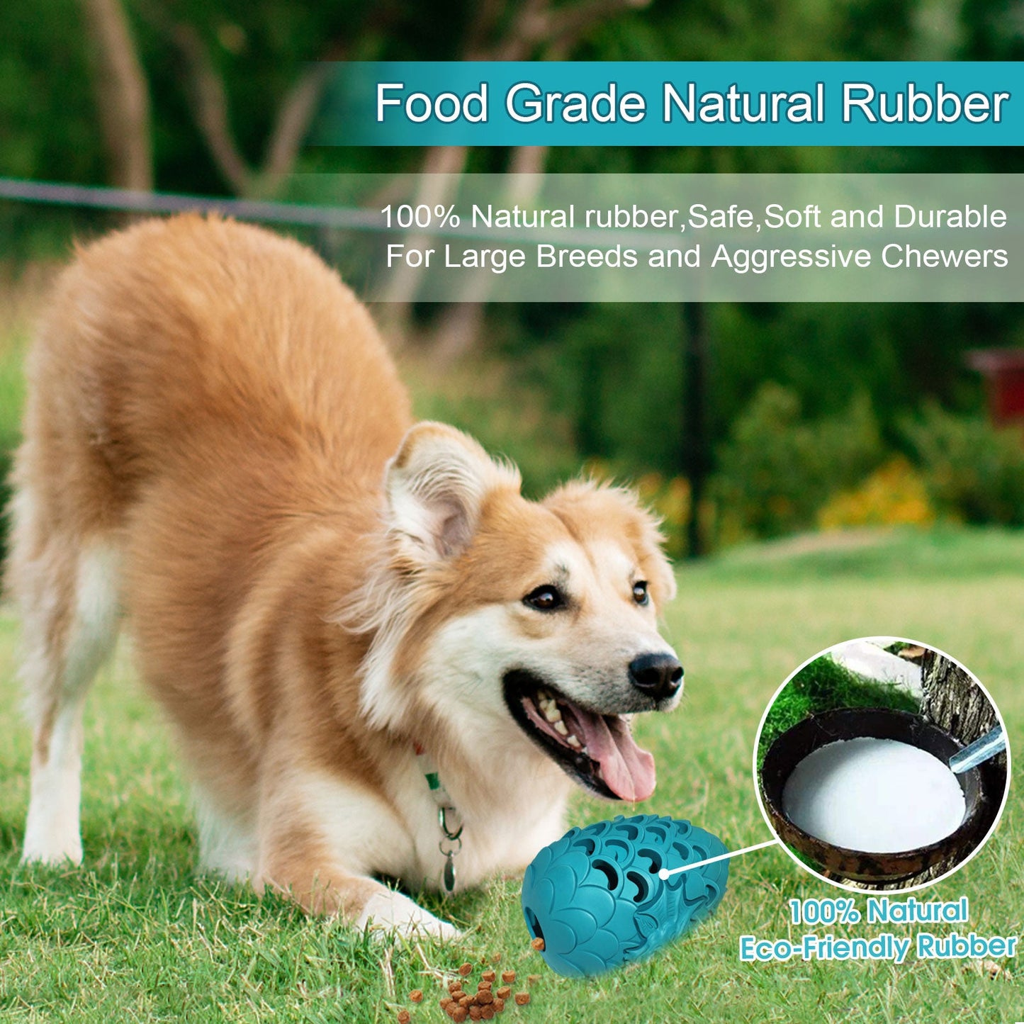 Indestructible Dragon Dog Chew Toys