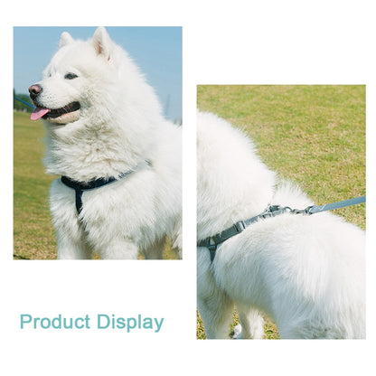 Durable Dog Protective Harness