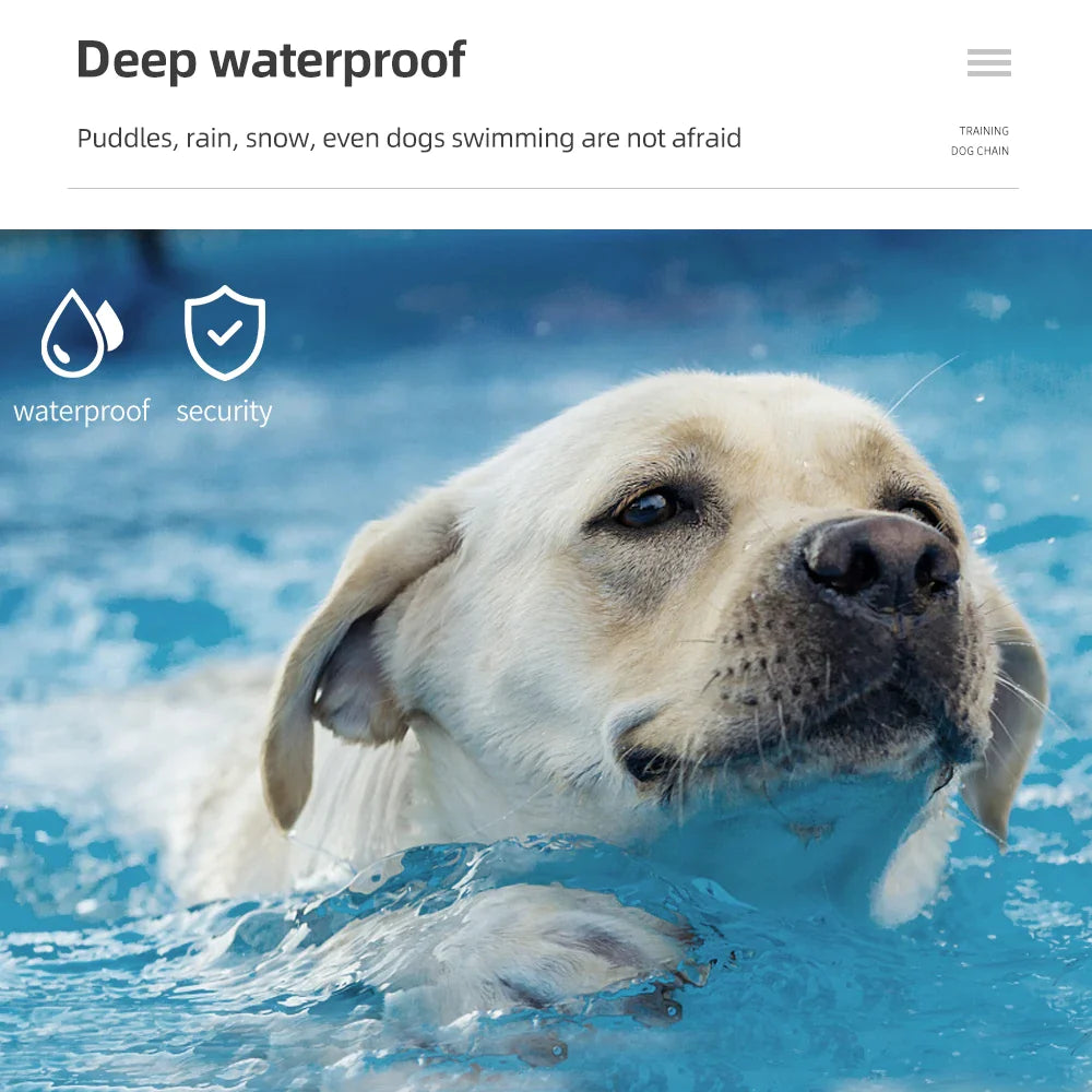 1000m Waterproof Dog Training Collars