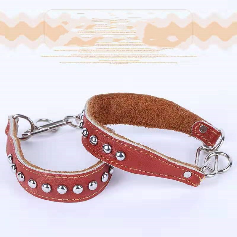 Italian Greyhound Leather Dog Collar