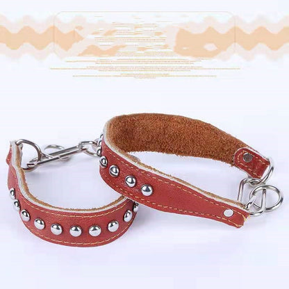 Italian Greyhound Leather Dog Collar