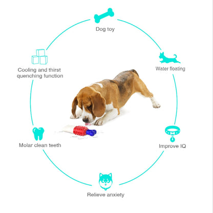 Extra Tough Dog Molar Toothbrush Toys
