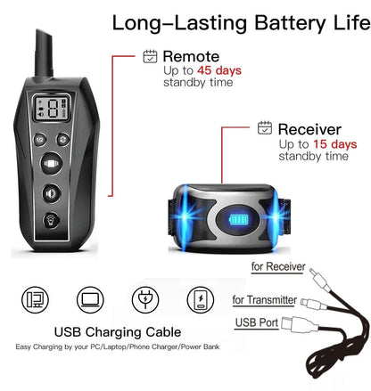 IPX7 Waterproof Pet Dog Training Collar