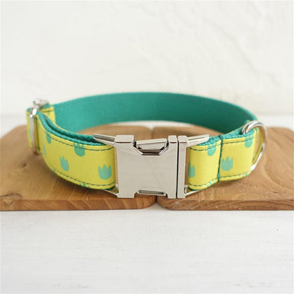 DRAGON PAWS Engraved Pet Collar