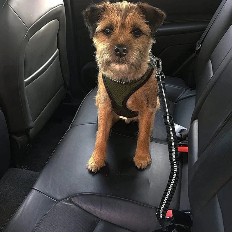 Enhanced Carabiner Adjustable Dog Seat Belt