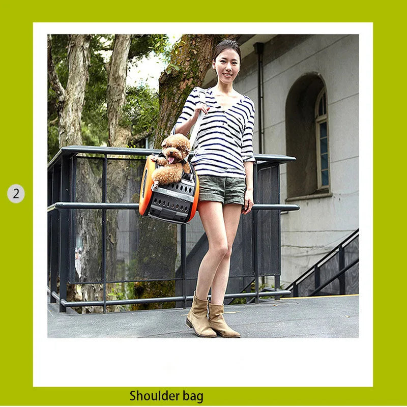 5 in 1 Outdoor Pet Stroller