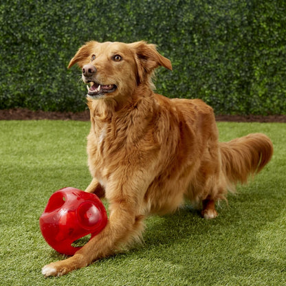 Jumbler Ball Dog Toy