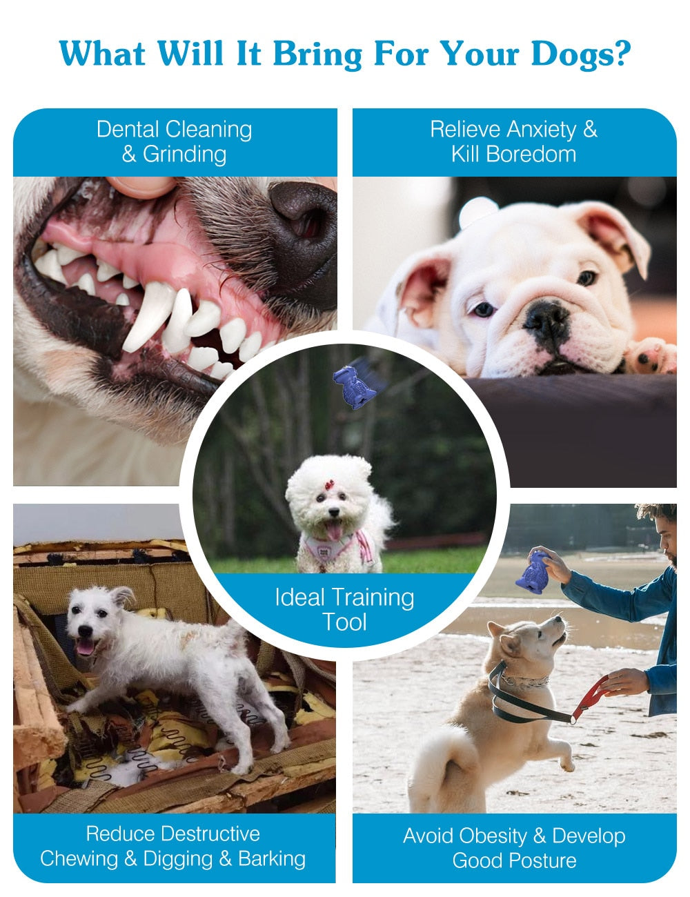 Dinosaur Shaped Dog Tough Toys