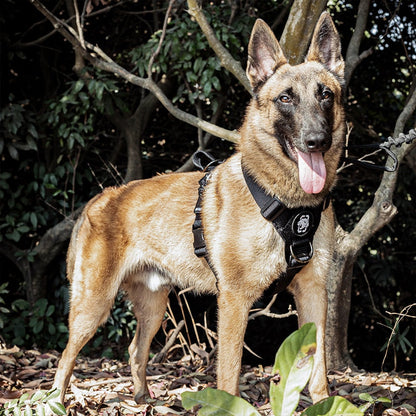 GOLIATH K9 Dog Training Harness