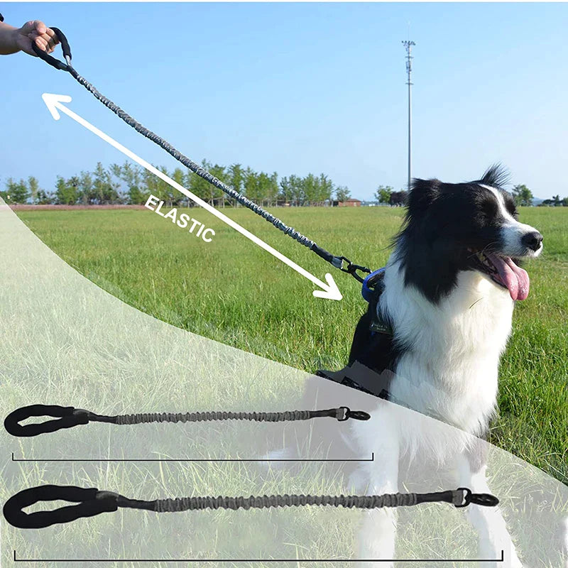 Strong Reflective Extendable Dog Lead