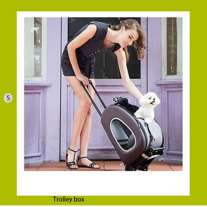 5 in 1 Outdoor Pet Stroller