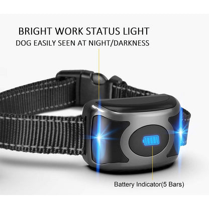 IPX7 Waterproof Pet Dog Training Collar