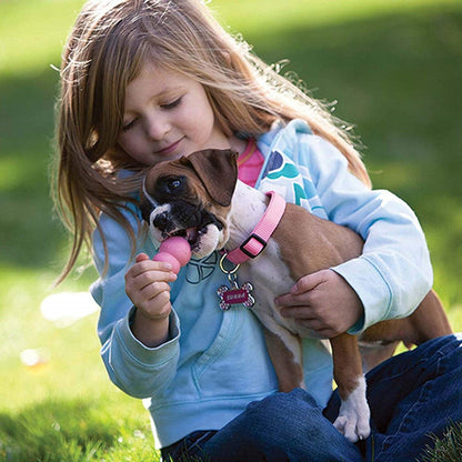 Puppy Dog Fun Chew Toy
