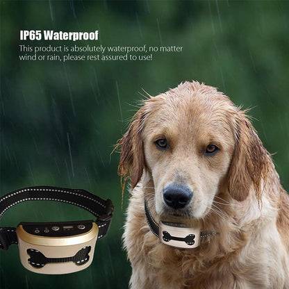 Pet Dog Anti Barking Device Collar