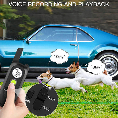 500m Dog Voice Recording Training Collar