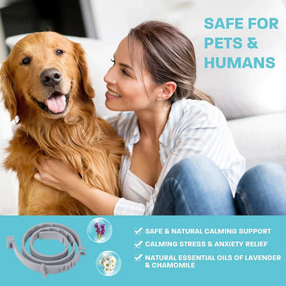 Effective Calming Collar For Dogs