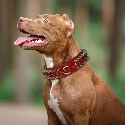 Leather Spikes Studded Dog Collar