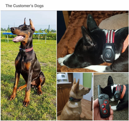400m Dog Anti Bark Stop Collar