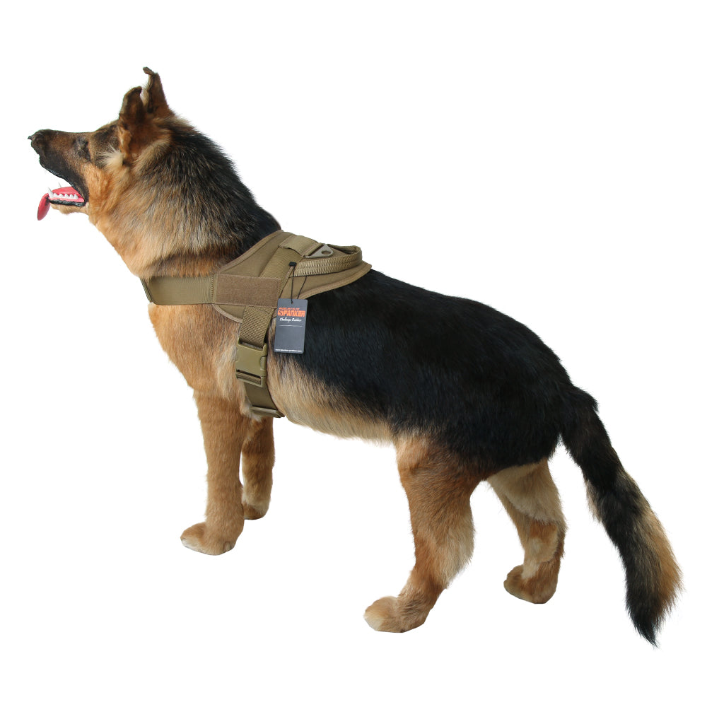 Elite Spanker Dog Training Harness