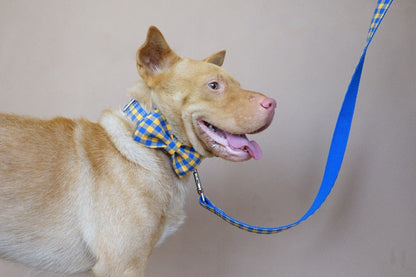 THE BLUE YELLOW Plaid Dog Collar