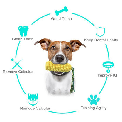 Indestructible Rubber Molar Stick Dog Toy