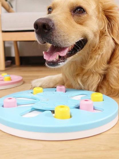 Dog IQ Fun Puzzle Toy Box