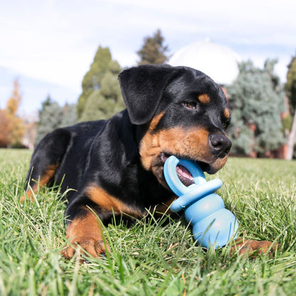 Puppy Binkie Dog Toy