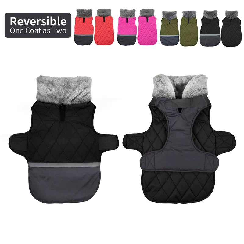 Reversible Winter Fleece Collar Dog Coat