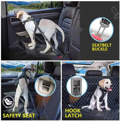 2 In 1 Latch Bar Bungee Dog Car Seat Belt