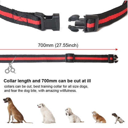 500m Waterproof Dog Training Collar