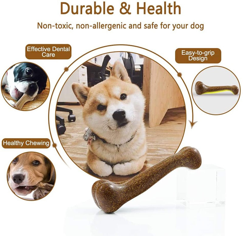Tough Dog Bone Puppy Toy