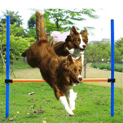 Dogs Outdoors Agile Pole Jump Equipment