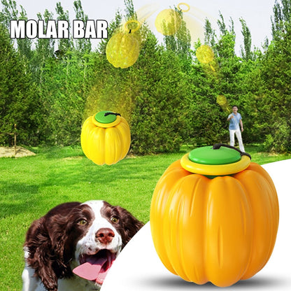 Dog Pumpkin Toy Ball With Retractable Rope