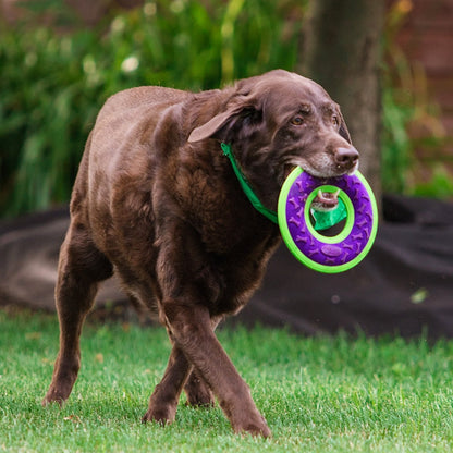 Dog Toys Squeaky Flying Ring