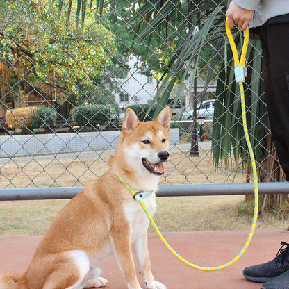 Heavy Duty Reflective Braided Dog Leash