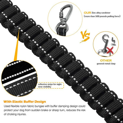 Shock Absorbing Bungee Dog Leash
