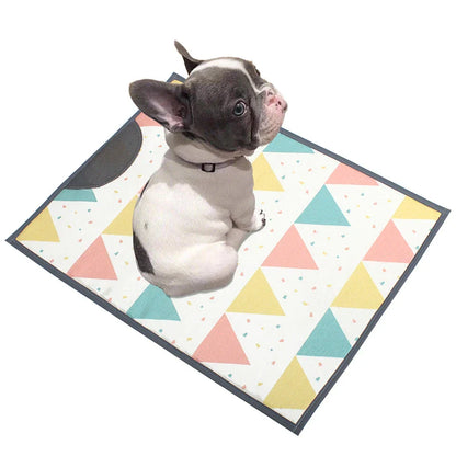 Fashion Summer Ice Silk Dog Mat