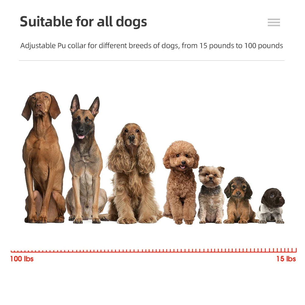 1000m Waterproof Dog Training Collars