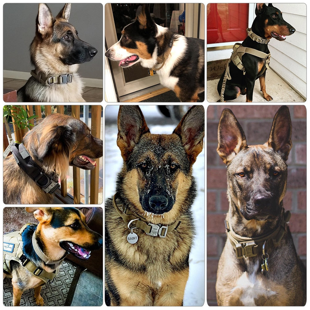 Military Tactical Dog Collar & Leash