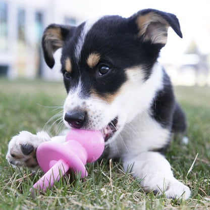 Puppy Binkie Dog Toy