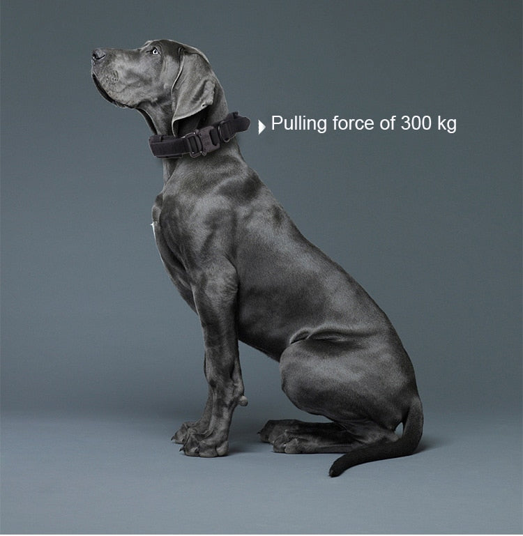 Military Tactical Big Dog Collar