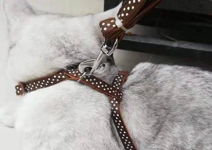 Dot & Plaid Cat Harness & Leash